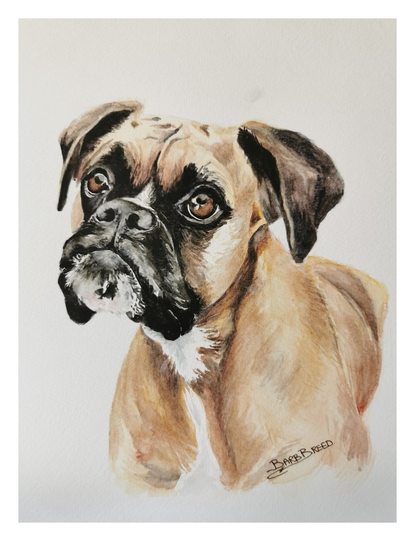 Pet Portrait