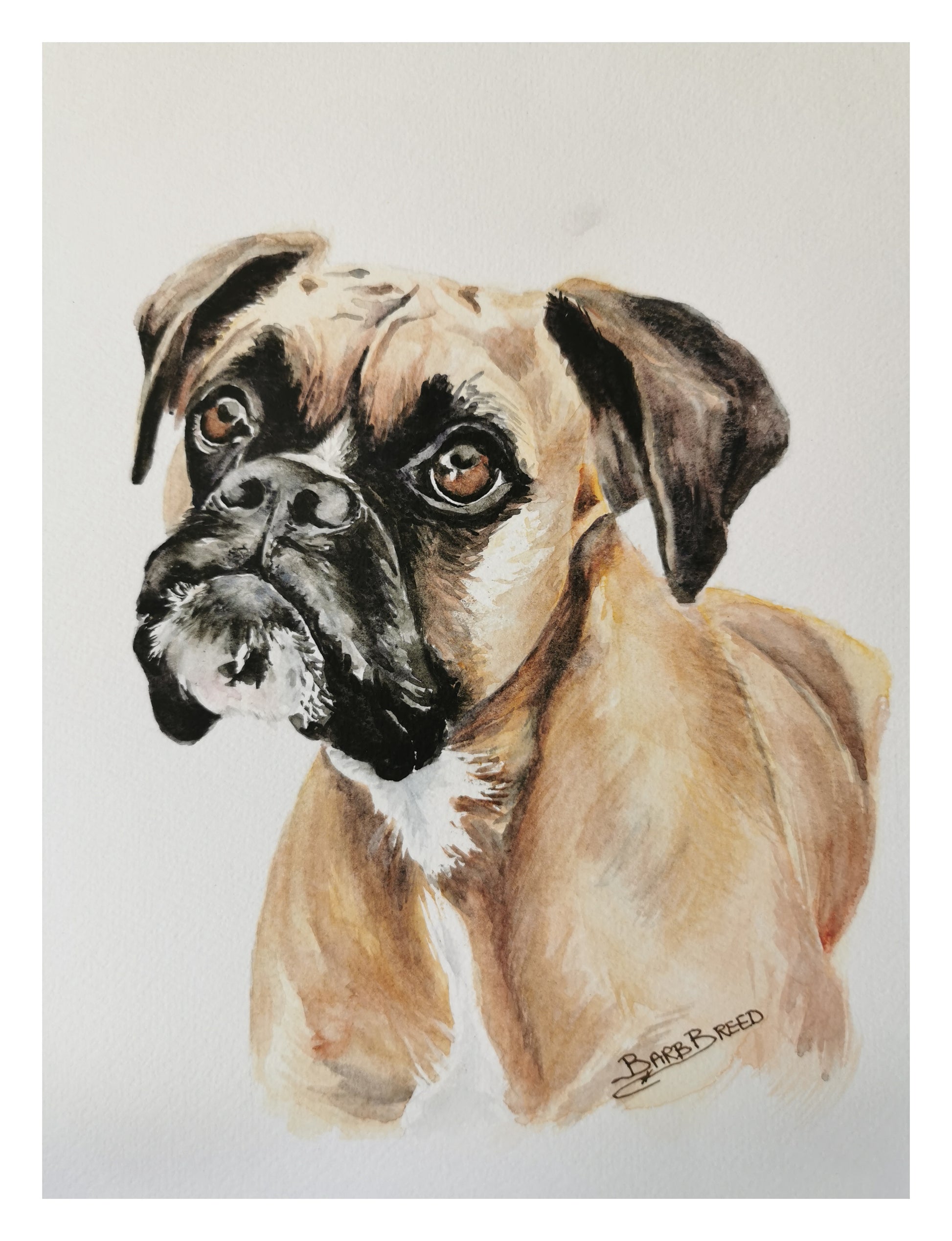 Pet Portrait