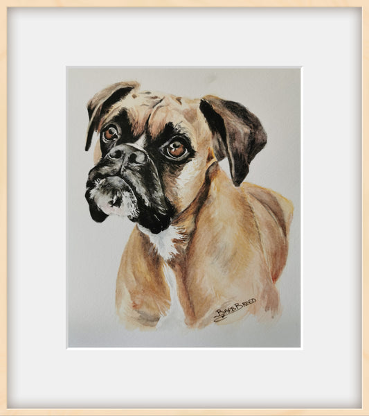 Pet Portrait