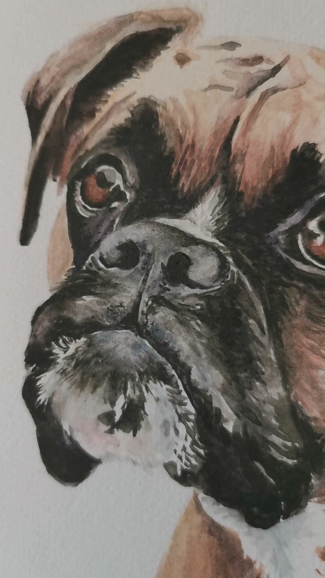 Pet Portrait