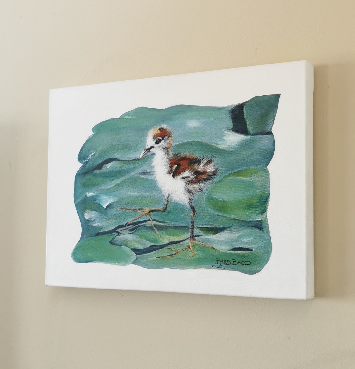 Marching Baby Jacana 3