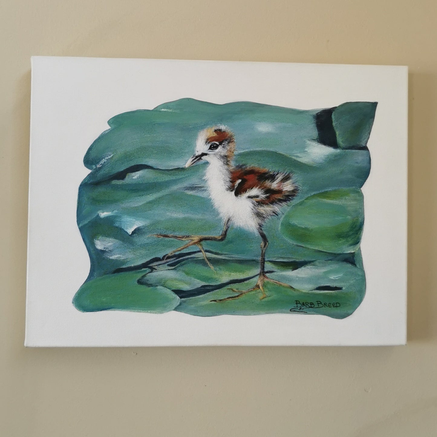 Marching Baby Jacana 3