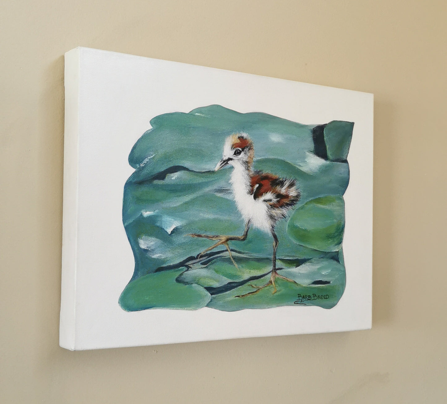 Marching Baby Jacana 3