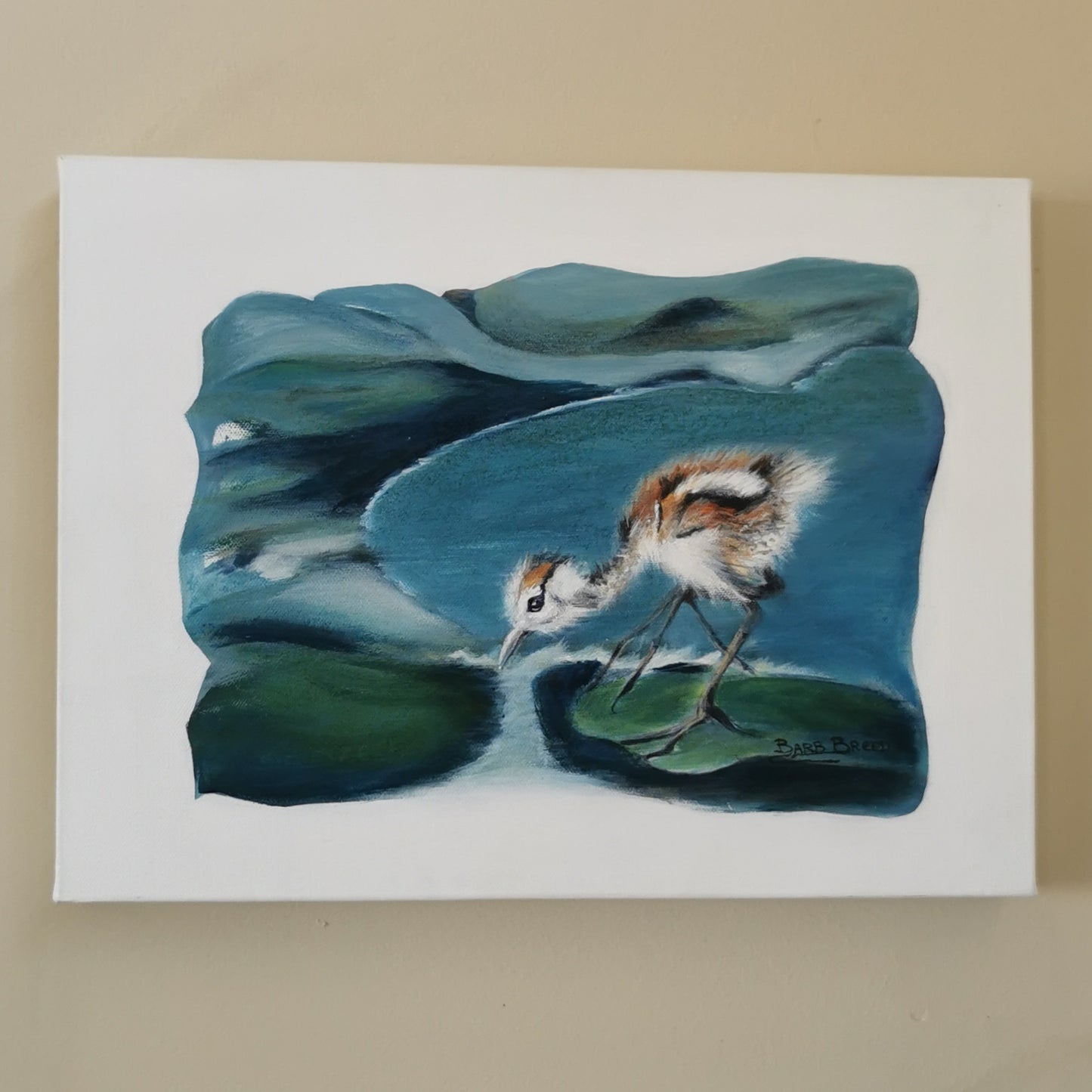 Thirsty Baby Jacana 2