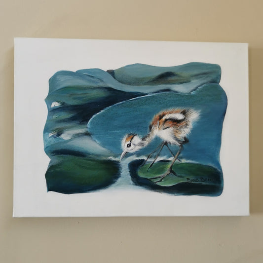 Thirsty Baby Jacana 2